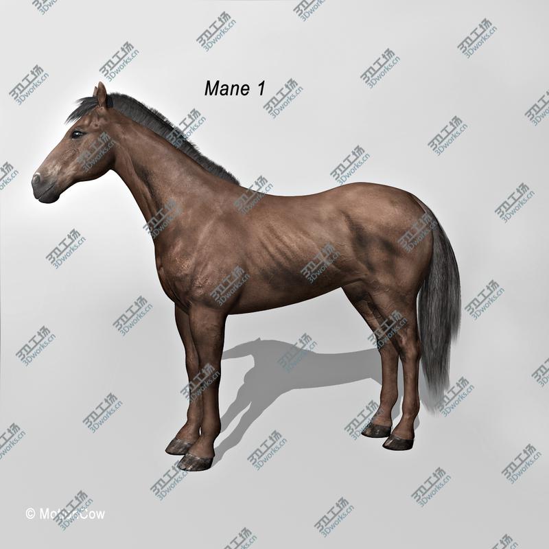 images/goods_img/20210115/3D Sicarius Archer/2.jpg